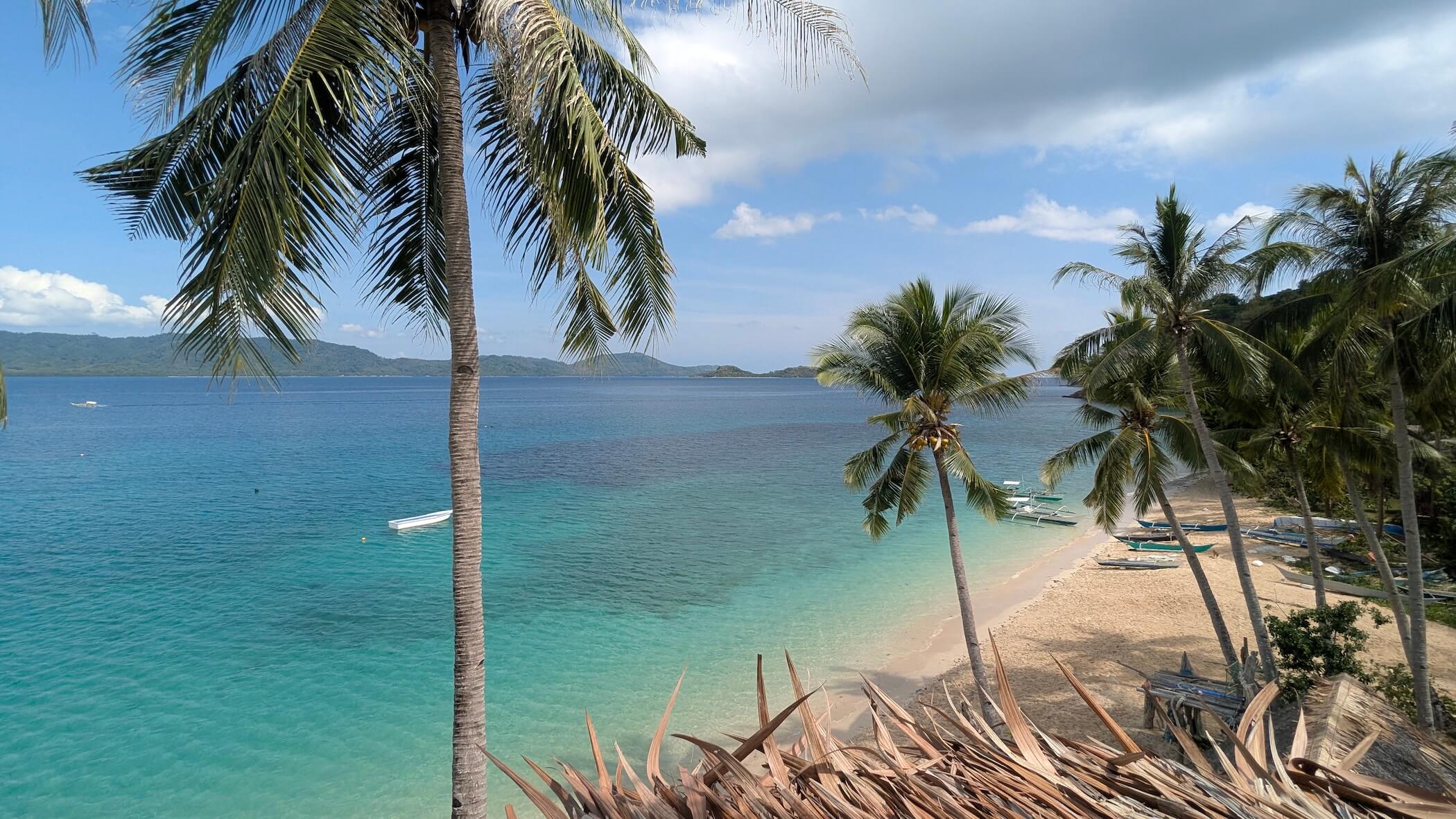 Mat Loughnane in Paris